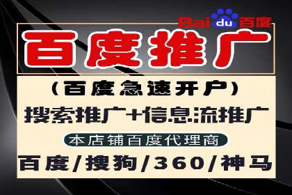SEM推广公司案例：助力企业实现品牌价值提升